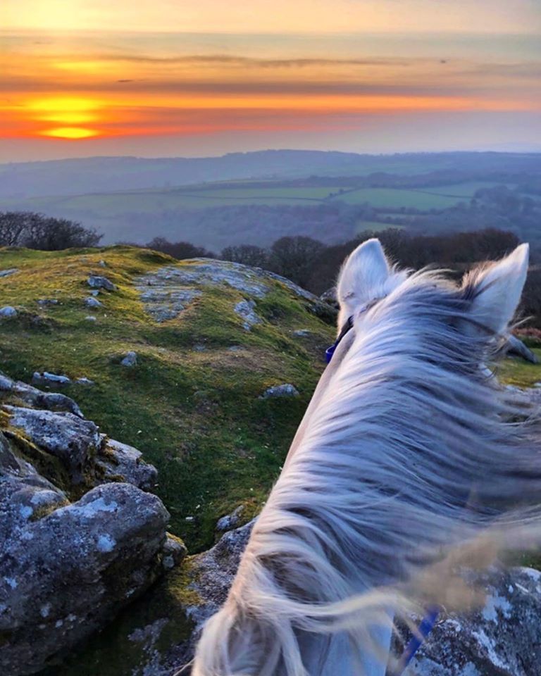 DARTMOOR, SOUTH DEVON, UK